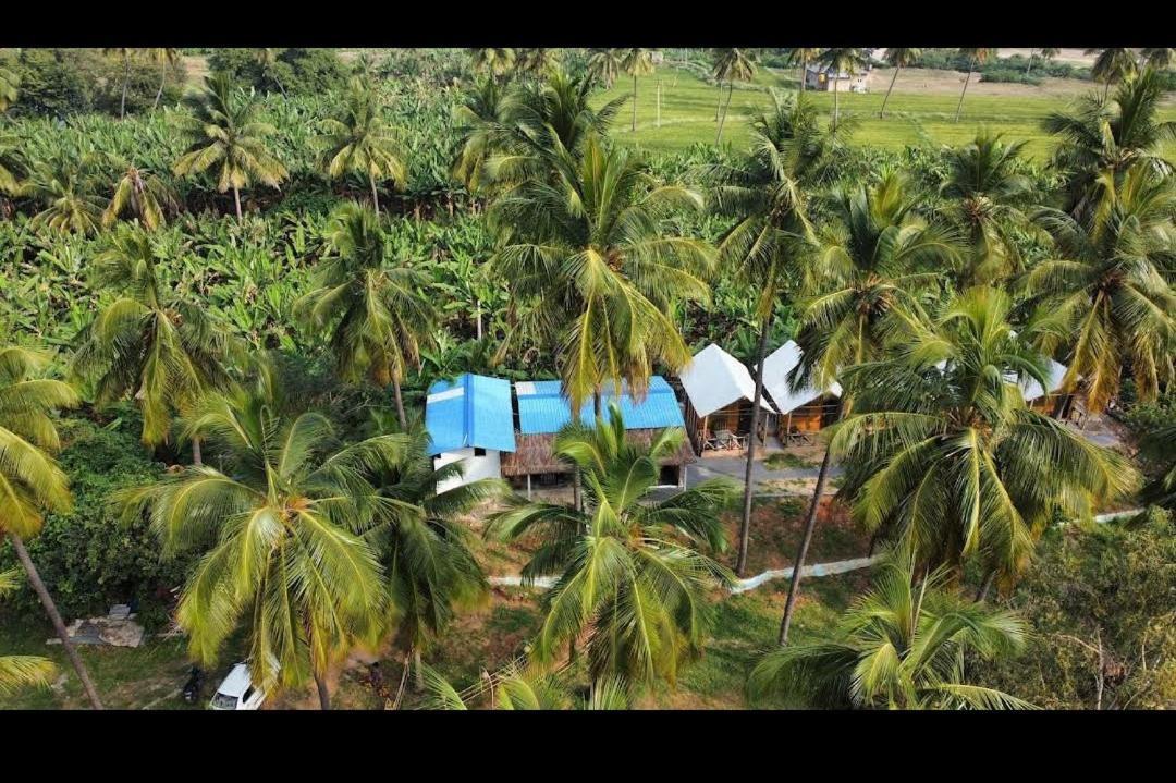 Hotel River Bay Hampi Exteriér fotografie